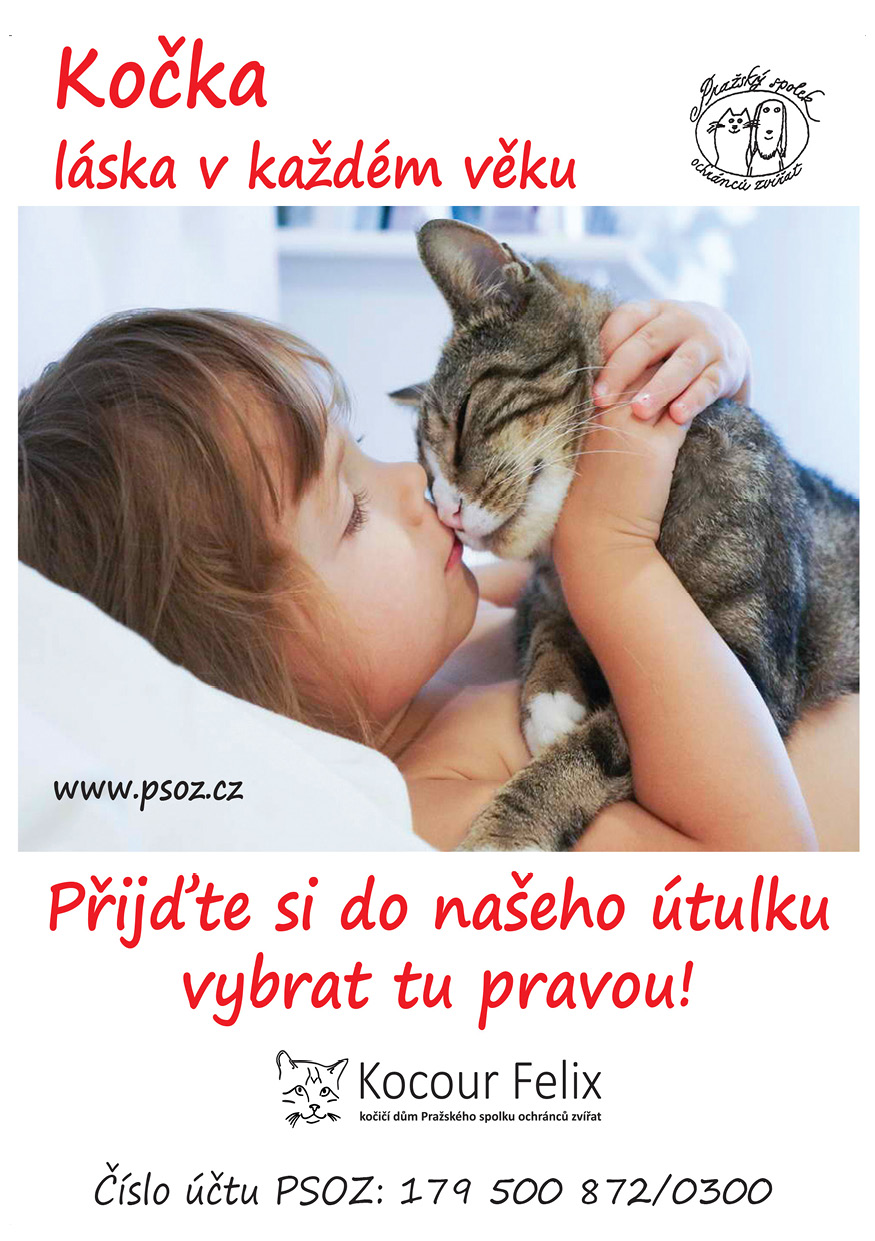 HRABAL_INZERAT_Ko%c4%8dka-l%c3%a1ska%20v%20ka%c5%bed%c3%a9m%20v%c4%9bku-2019-A5.jpg